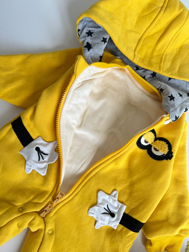 سرهمی مینیون ها